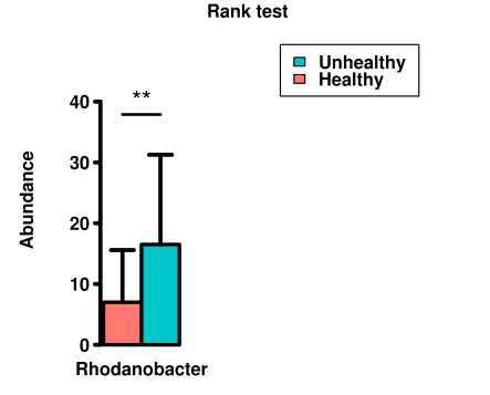 인삼의 건강에 따른 인삼경작지 토양의 Rhodanobacter 유의성 분석 결과