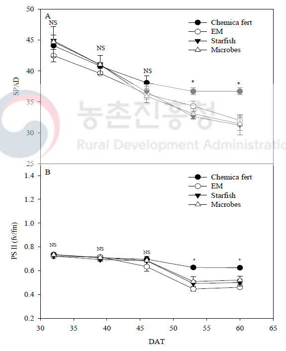 유기자재 액비 처리에 따른 식물체 엽록소 및 광합성 비교 Chemical fert: 화학비료 액비, EM: EM액비, Starfish: 불가사리 액비, Microbes: 토착미생물액비 *adjacent to each datum point for each sampling time indicate significant differences as determined by Duncan’s multiple range test at P < 0.05; NS, not significantly different