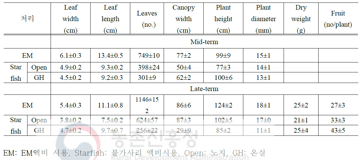 액비 처리에 따른 고추 생육중기와 후기 비교