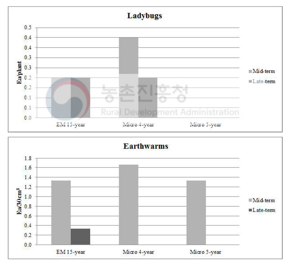액비 처리에 따른 토마토 밭의 천적(무당벌레와 지렁이) 수 비교 EM 15-year:15년간 EM 액비 시용, Micro 4-year and 5-year:토착미생물4년 및 5년간 시용
