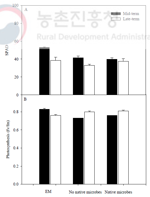 액비 처리에 따른 토마토 생육중기와 후기 SPAD와 광합성 비교 EM: EM액비 시용, Native microbes: 토착미생물 액비시용