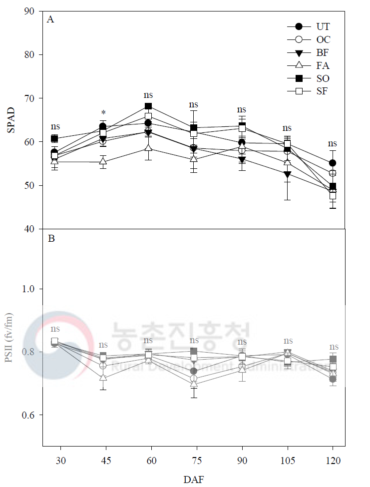 자가제조 액비 처리에 따른 SPAD와 PSII 비교 *adjacent to each datum point for each sampling time indicate significant differences as determined by Duncan’s multiple range test at P < 0.05; ns, not significantly different. UT: 무처리, OC: 유박, BF: 골분+어분, FA: 생선아미노산, SO: 깻묵, SF: 불가사리