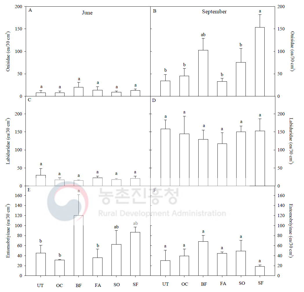 자가제조 액비 처리에 따른 주요 곤충(panel A와 B: 6월과 9월 쥐며느리과, panel C와 D: 6월과 9월 큰집게벌레과, panel E와 F: 6월과 9월 털보톡토기과) 개체 비교 Different letters on top of the columns indicate significant difference as determined by Duncan’s multiple range test at P < 0.05. UT: 무처리, OC: 유박, BF: 골분+어분, FA: 생선아미노산, SO: 깻묵, SF: 불가사리