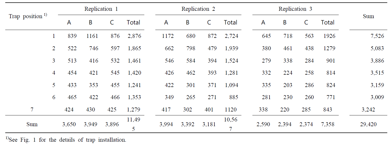 Total number of insects (insect pests and natural enemies) attracted to each yellow sticky card (traps) during the study period (Oct. 7 to Oct. 28 in 2018 and Mar. 21 to May 30 in 2019)