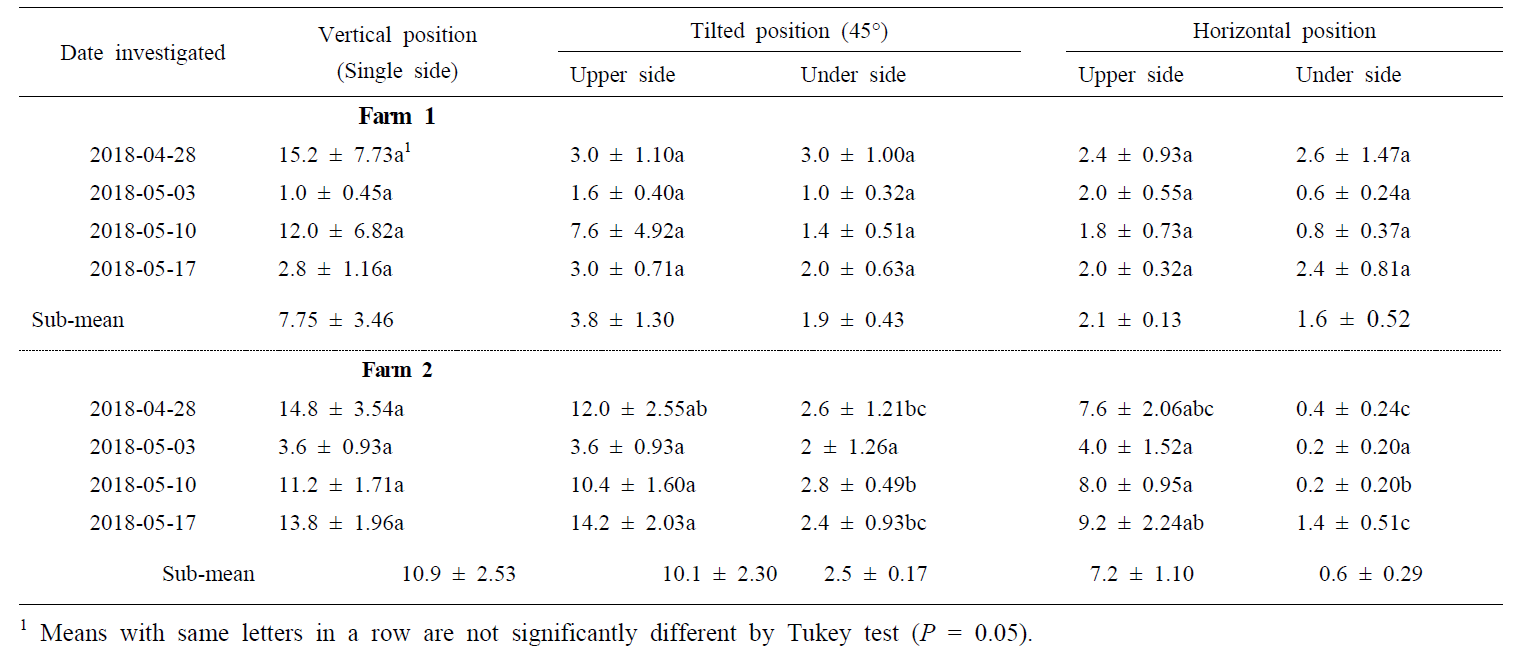 The attractiveness of yellow sticky trap for Sciaridae species according to the installation angle of traps in strawberry farms