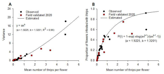 Field validation of the models for the relationships between mean and variance of thrips found on flowers. A = The relationships between the mean number of thrips per flower (x) and variance (y), and B = The relationships between the mean number of thrips per flower and the proportion of flowers infested with thrips. The observed data sets in 200 were used for model validation