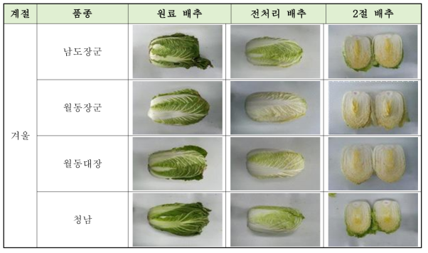 겨울배추의 품종별 외형적 품질특성