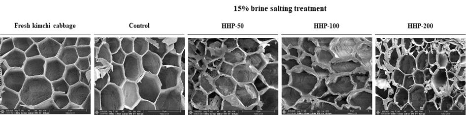 Cross-sectional scanning electron microscope images of the kimchi cabbages after salting under high hydrostatic pressure conditions. Magnification was ×5,000 and the scale bar indicated 30 μm