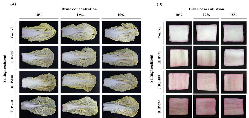 Appearances of the piece-type(A) and shred-type(B) kimchi cabbages after salting using 10, 12, and 15% brines containing neutral red under high hydrostatic pressure conditions