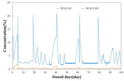 봄배추 저장 파렛트 2 기체농도 변화