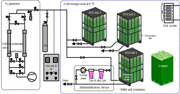 겨울배추 저장에 이용한 파렛트 단위 기체제어 시스템 모식도
