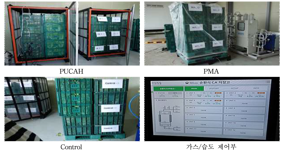 파렛트 단위 기체제어 시스템을 이용한 여름배추와 여름무 복합 저장