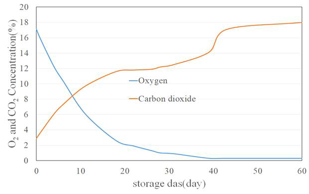 여름배추와 여름무 60일 MA 저장 중 산소 및 이산화탄소 농도 변화