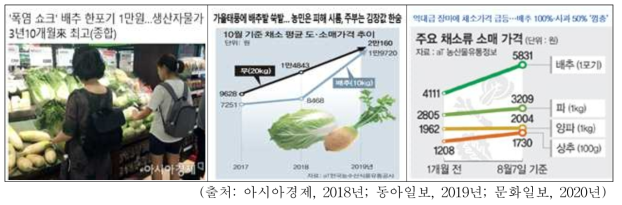 2018∼2020년 김장채소 가격 폭등 관련 언론보도