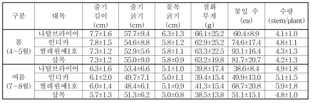 ‘핑크샤인’ 접목묘의 절화장미 생산성 향상 능력 검정(1년차)