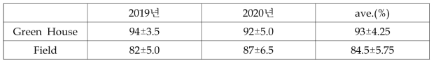 장미 아접묘의 생산장소(온실, 노지)에 따른 아접묘 활착률(%)