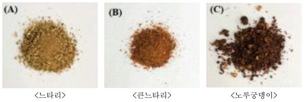 회전드럼식 로스팅 처리 후 각 버섯시료의 갈변상태