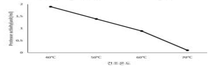 느티만가닥버섯의 열풍건조 온도별 단백질분해효소 활성