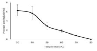 온도조건에 따른 느티만가닥버섯의 단백질분해효소활성