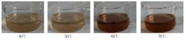 처리온도별 버섯차의 외관