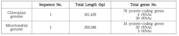 고구마 엽록체, 미토콘드리아 유전체 정보