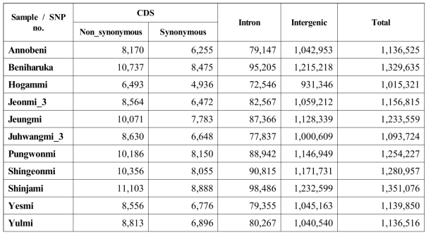 Xushu 18 표준 유전체에 대한 국내외 11개 품종의 SNP 분포