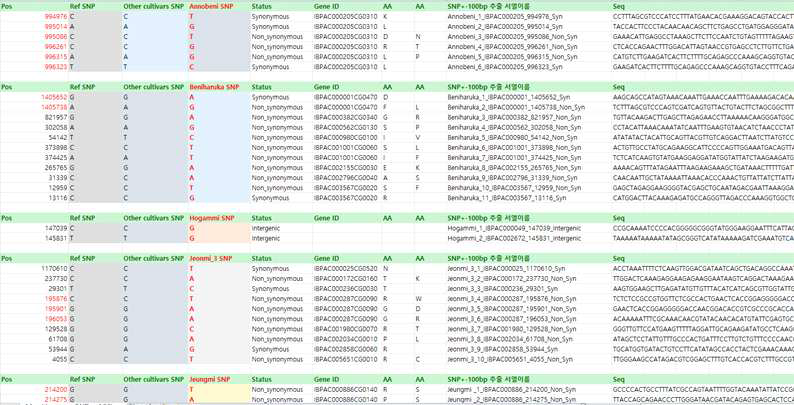 고구마 11개 품종 특이 SNP 주변염기서열 정보