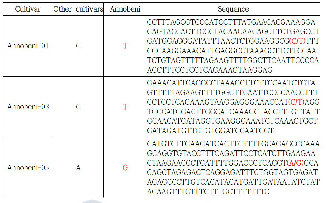 Annobeni SNP 염기서열 정보