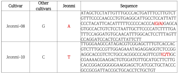 Jeonmi SNP 염기서열 정보