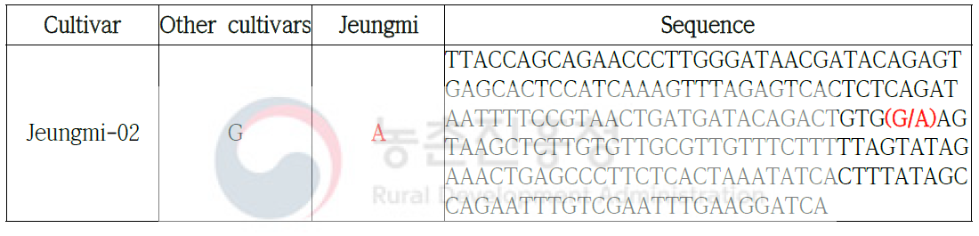 Jeungmi SNP 염기서열 정보