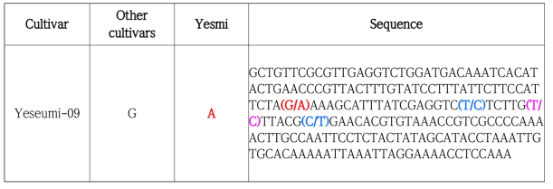 Yeseumi SNP 염기서열 정보