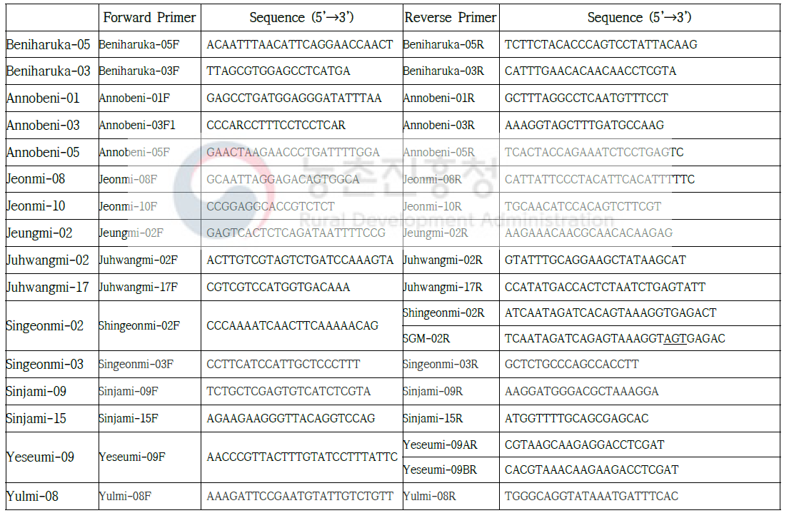 고구마 Dual-labeled DNA Probe를 이용한 SNP genotyping 프라이머 서열