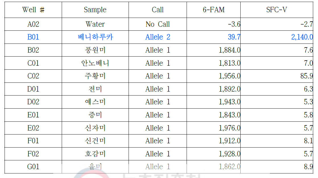 베니하루카-03 프라이머를 이용한 11개 고구마 품종의 RT-PCR 결과