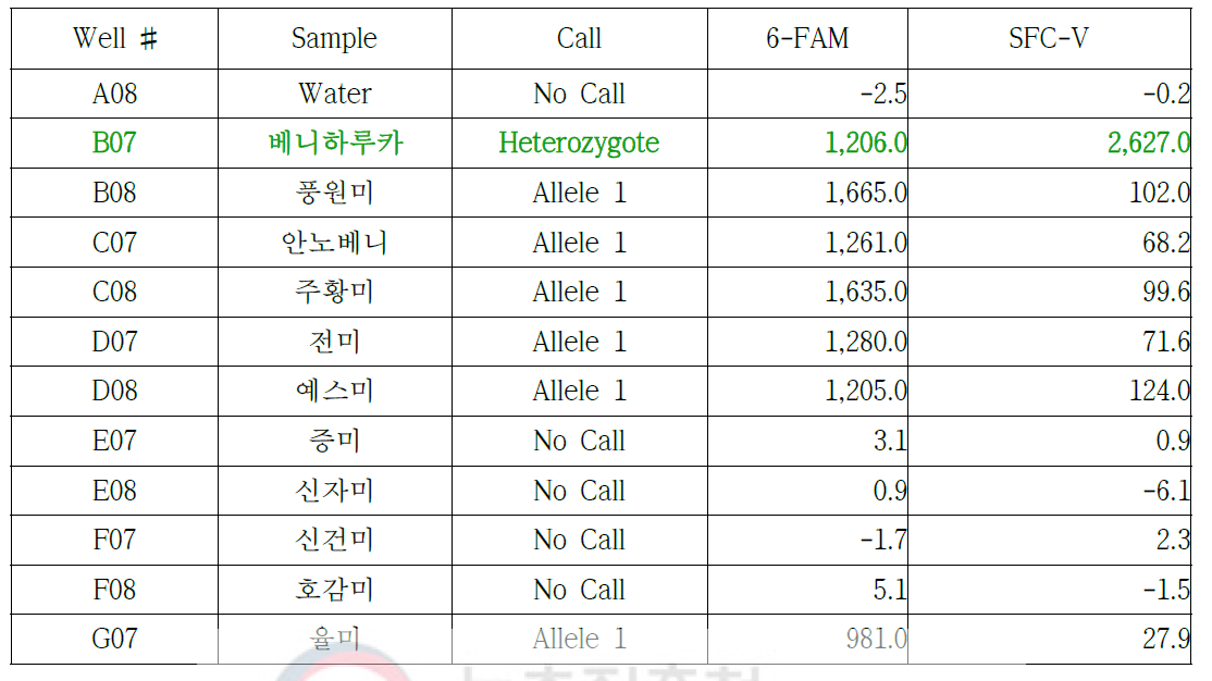 베니하루카-07 프라이머를 이용한 11개 고구마 품종의 RT-PCR 결과