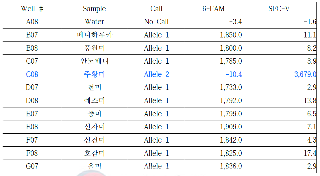 주황미-02 프라이머를 이용한 11개 고구마 품종의 RT-PCR 결과