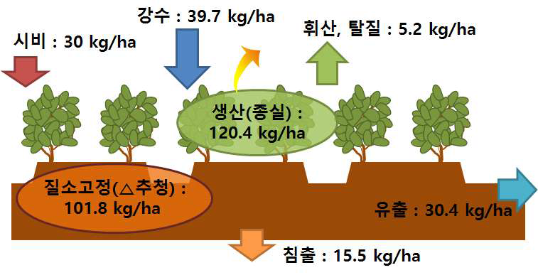 콩재배 논의 고랑담수에 따른 질소 순환 평가 결과