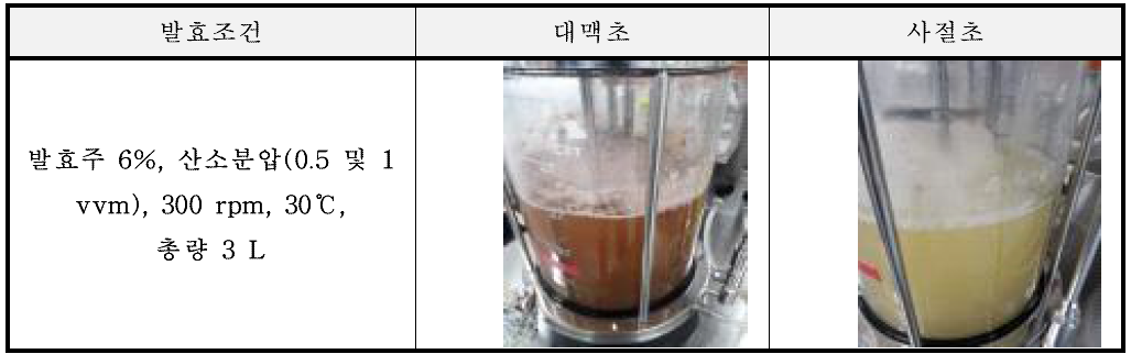 심부발효를 통한 곡류식초 2종 제조