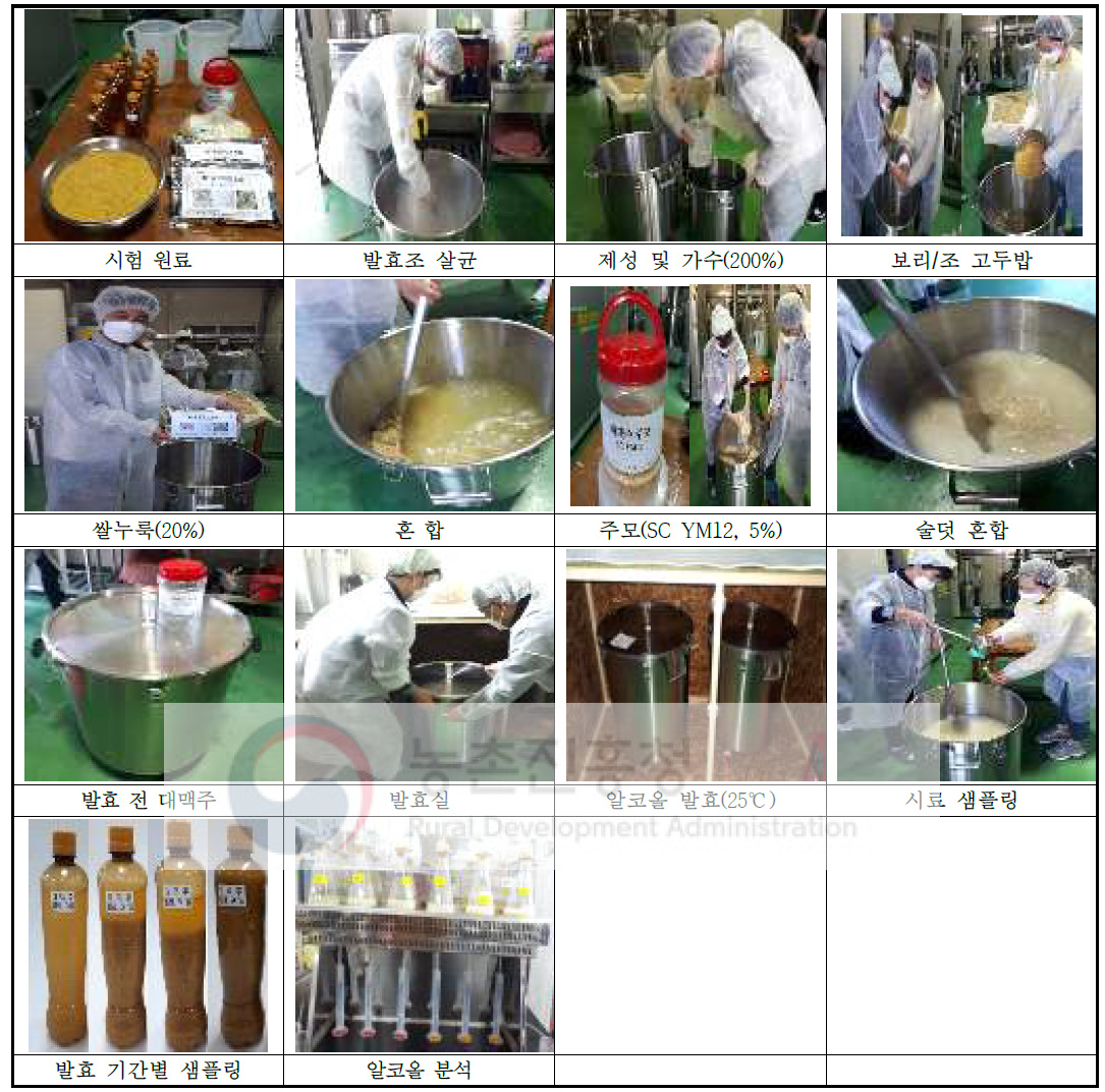 Large scale manufacturing of farm-made Daemaek-Makgeolli