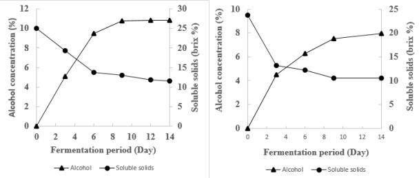 Soluble solids and alcohol content of farm-made wine (left side : jujube wine, right side : peach wine)