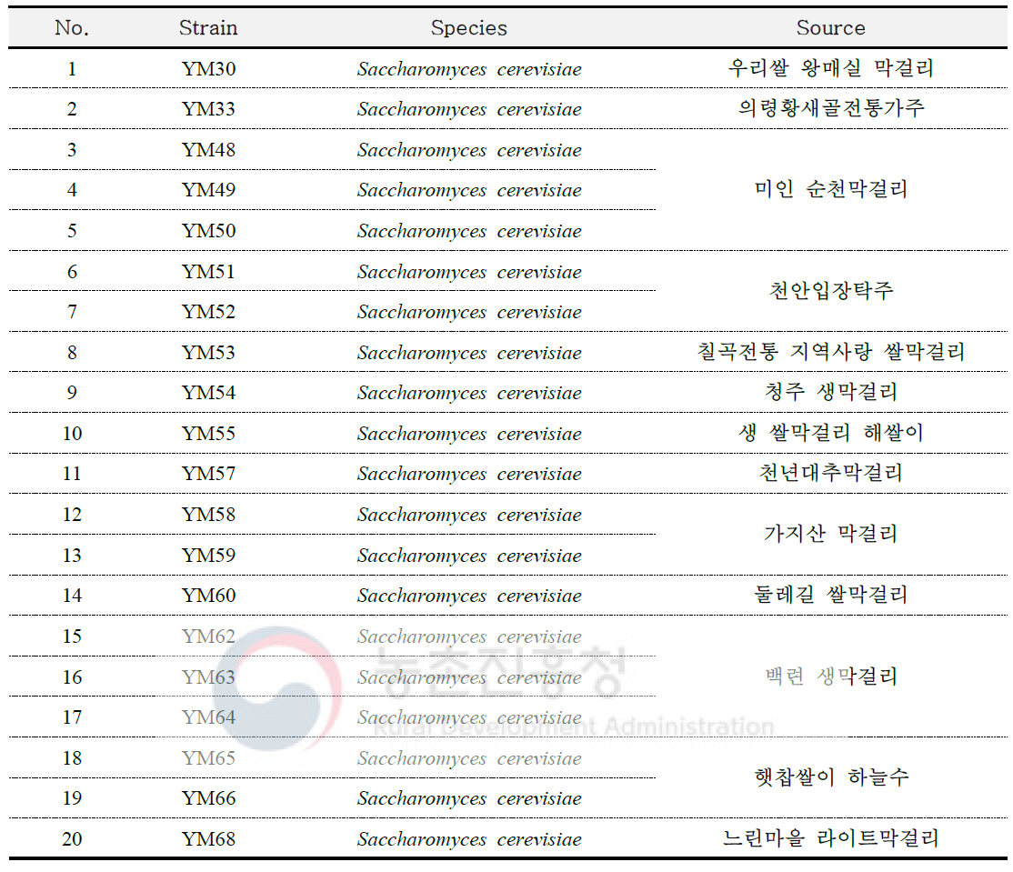 List of yeast strains used in this study