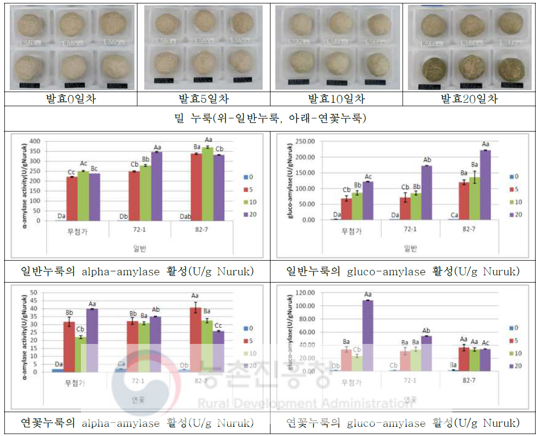 곰팡이 종균으로 2차 제조한 밀누룩(병국)의 효소활성 (A-D:실험구간, a-d:기간간)