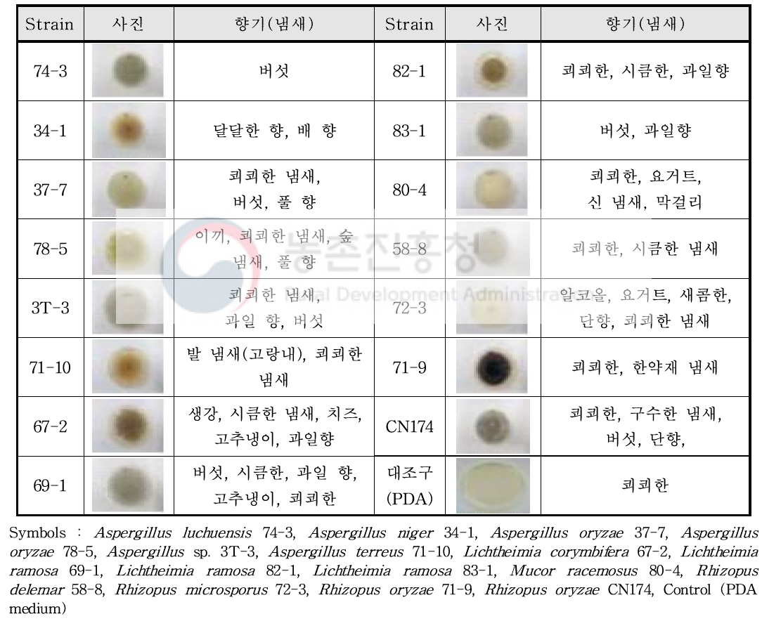 15주 곰팡이에 대한 Sniffing test