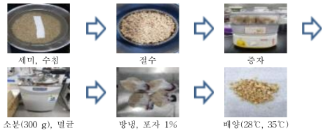 곡류 원료별 단일종균 발효제 제조