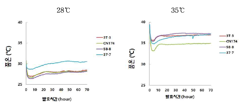 발효조건에 따른 단일종균 밀누룩의 품온 변화 ※Symbols: R, Aspergillus sp. 3T-3; G, Rhi. oryzae CN174; VP, Rhi. delemar 58-8; SB, A. oryzae 37-7