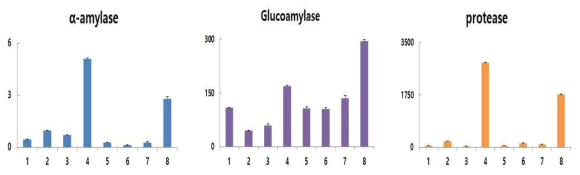 발효조건에 따른 단일종균 쌀누룩의 효소활성 ※ Symbols : 1∼4 : 28℃; 1, Aspergillus sp. 3T-3 2, Rhi. oryzae CN174; 3, Rhi. delemar 58-8; 4, A. oryzae 37-7; 5∼8 : 35℃; 5, Aspergillus sp.; 3T-3; 6, Rhi. oryzae CN174; 7, Rhi. delemar 58-8; 8, A. oryzae 37-7 ※ Data values were expressed as mean ± SD of triplicate determinations