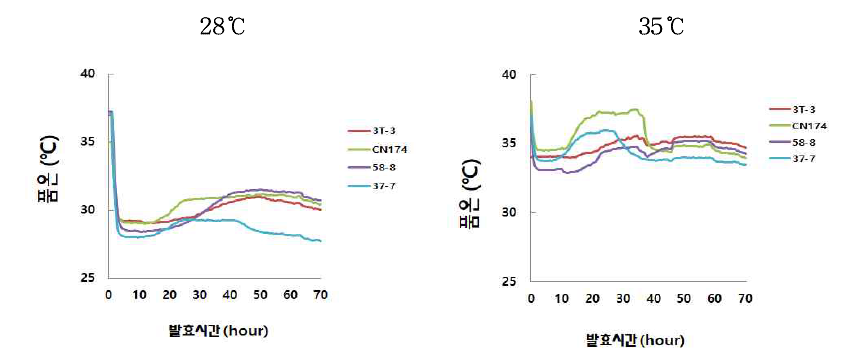 발효조건에 따른 단일종균 조누룩의 품온 변화 Symbols: R, Aspergillus sp. 3T-3; G, Rhi. oryzae CN174; VP, Rhi. delemar 58-8; SB, A. oryzae 37-7