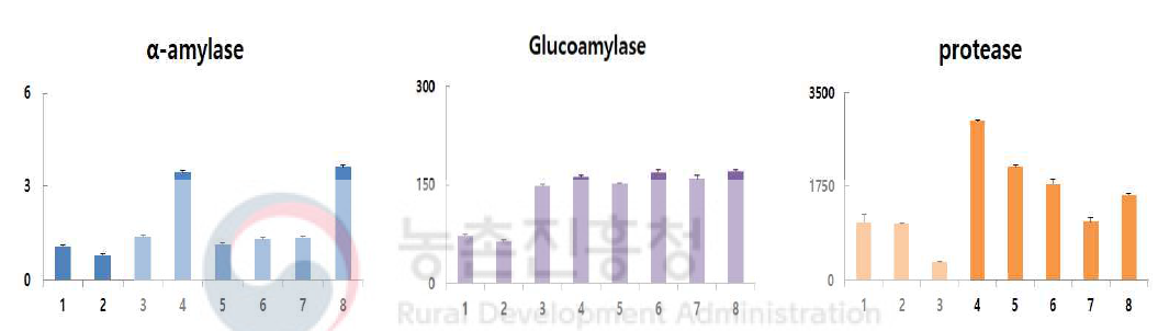 발효조건에 따른 단일종균 조누룩의 효소활성 Symbols : 1∼4 : 28℃; 1, Aspergillus sp. 3T-3; 2, Rhi. oryzae CN174; 3, Rhi. delemar 58-8; 4, A. oryzae 37-7; 5∼8 : 35℃; 5, Aspergillus sp.; 3T-3; 6, Rhi. oryzae CN174; 7, Rhi. delemar 58-8; 8, A. oryzae 37-7. Data values were expressed as mean ± SD of triplicate determinations