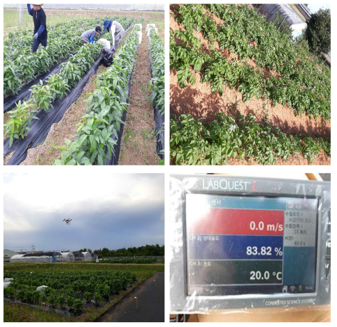 Set-up of test field, Insecticide treatment using multi-copter and External environment conditions