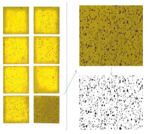 Water sensitive paper analysis