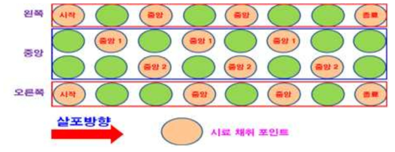 배추 시료채취 지점 모식도